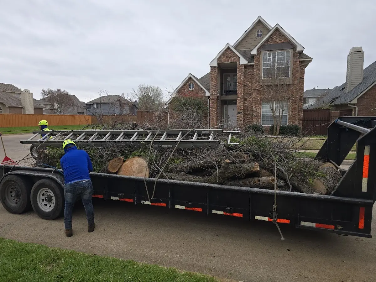 Expert Tree Fertilization with proper safety equipment in Muir